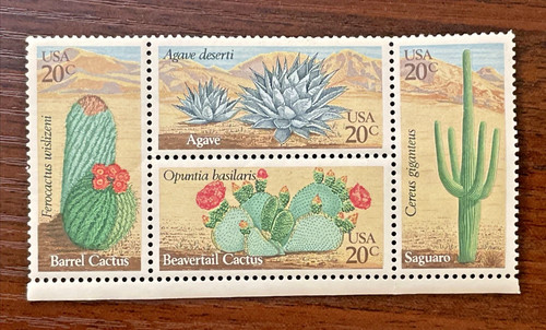 Francobolli cactus 1981 - francobolli,
