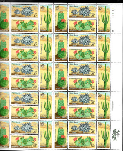 Piante del deserto 1981 - piante,
