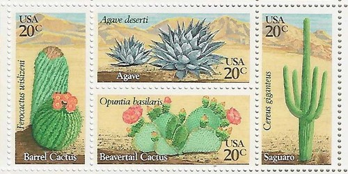 Desert plants 20c - desert,